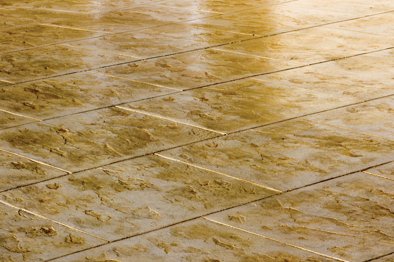 Interior stamped concrete on restaurant floor
