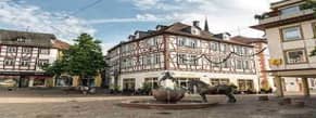 Delegation in Alzey