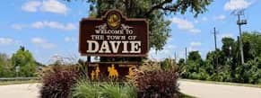 Delegation in Davie