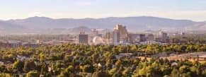 Delegation in Reno