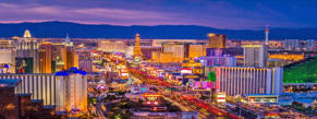 Delegation in Las Vegas 