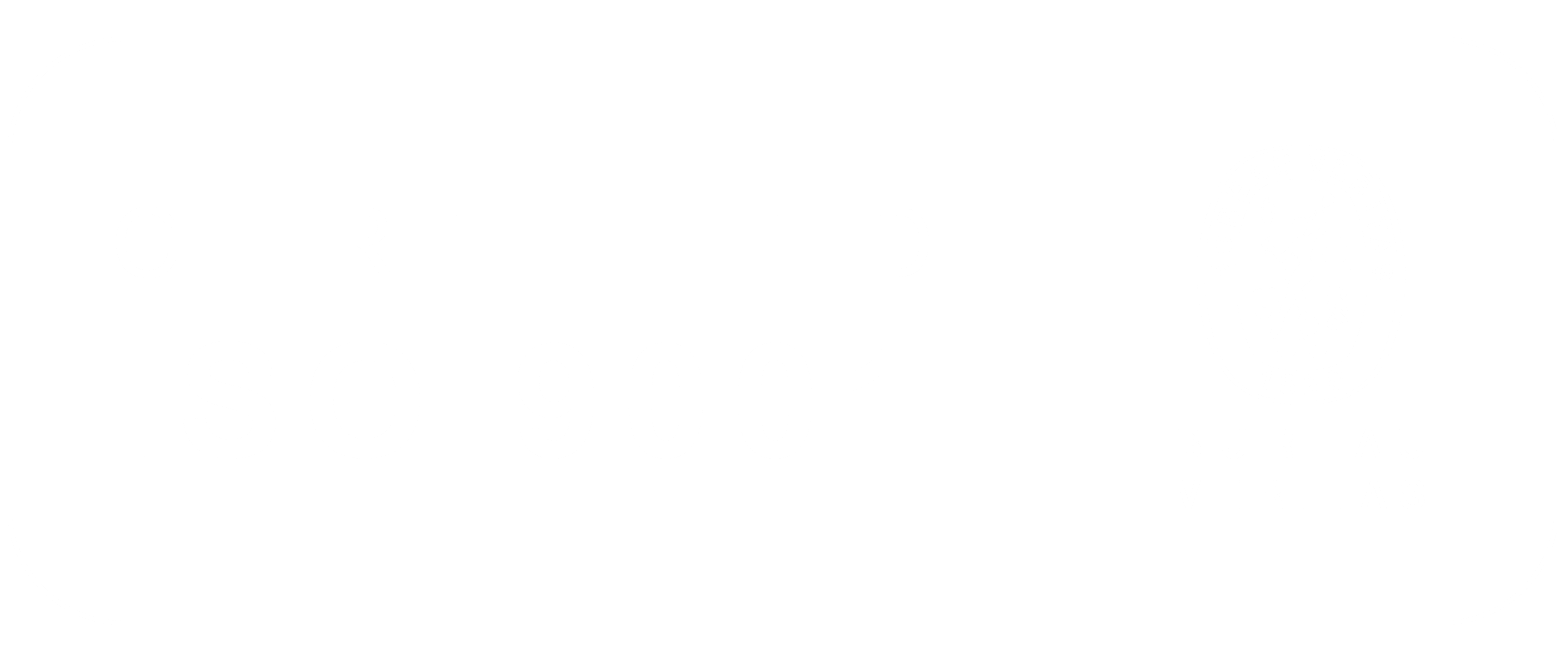 logo iso