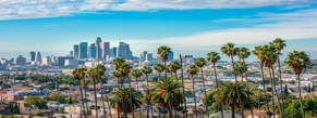 Delegation in Los Angeles 