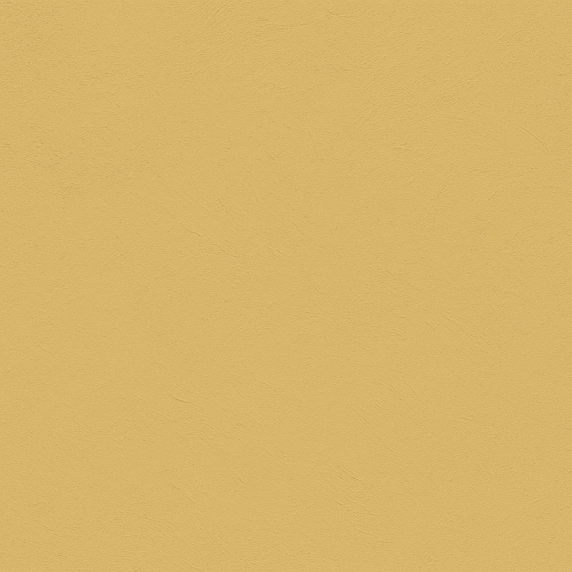 color Ginger
