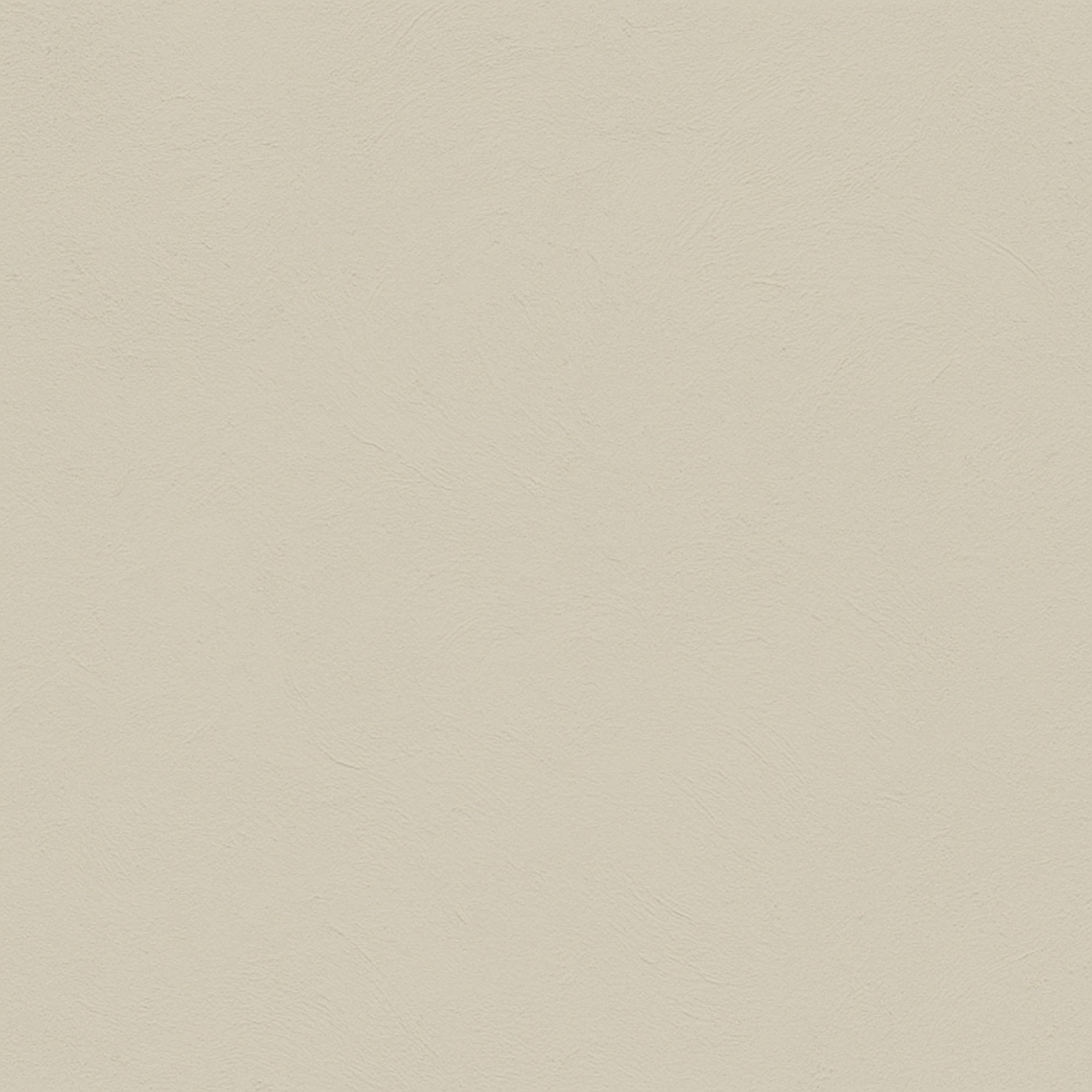 color Bone