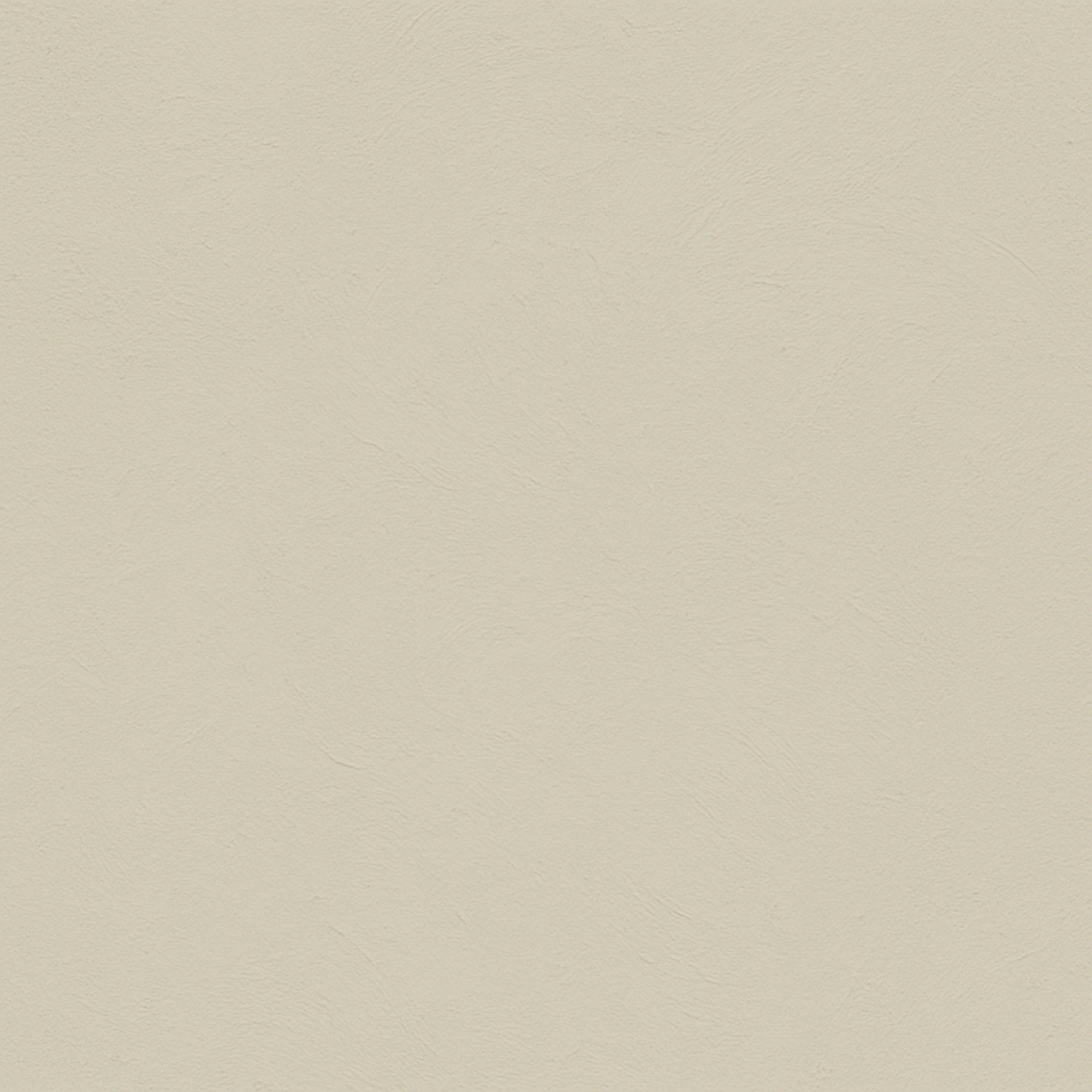 color Bone