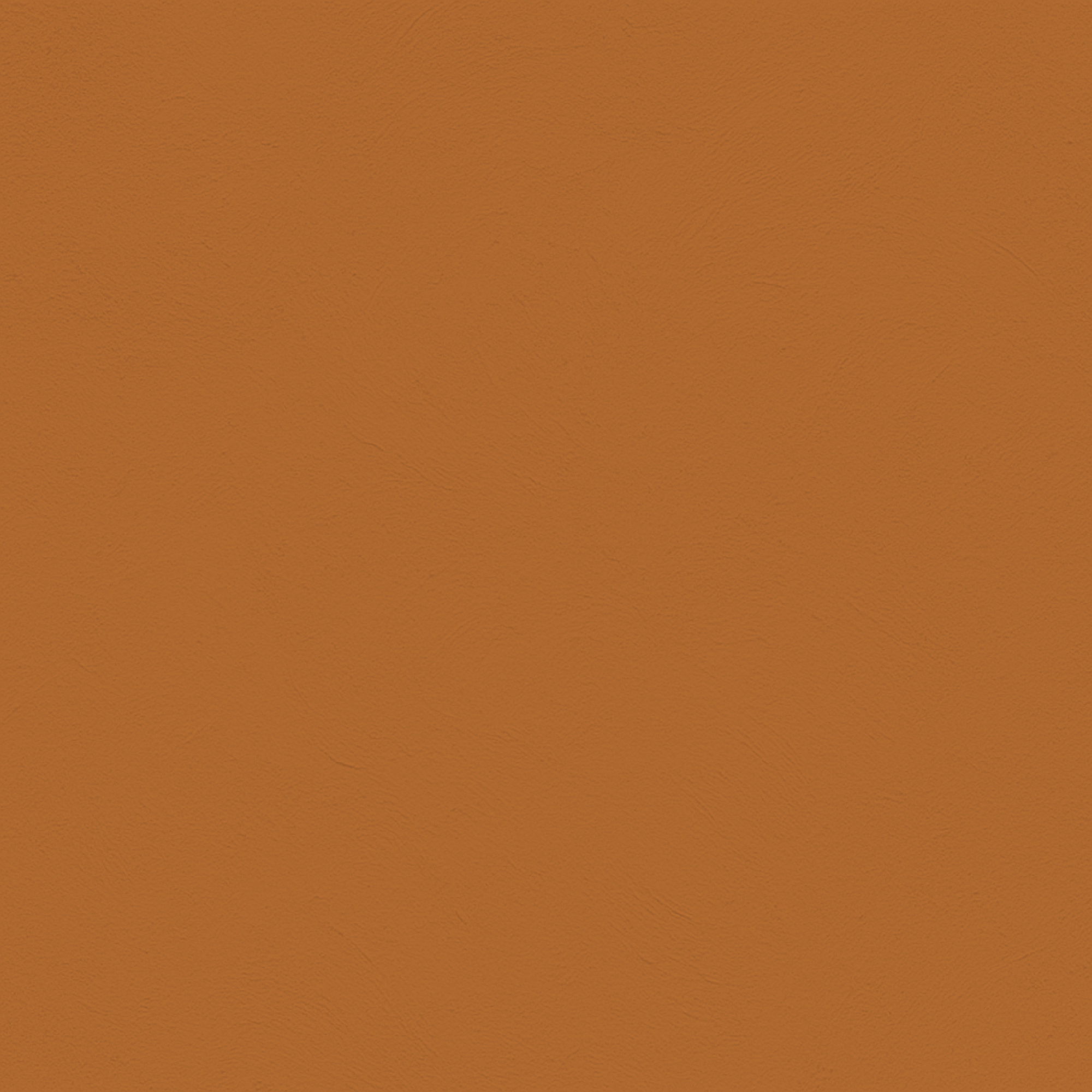 color Calabaza
