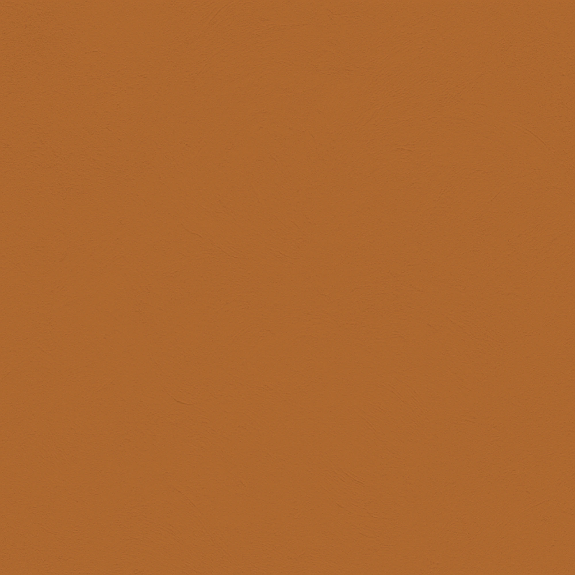 color Calabaza
