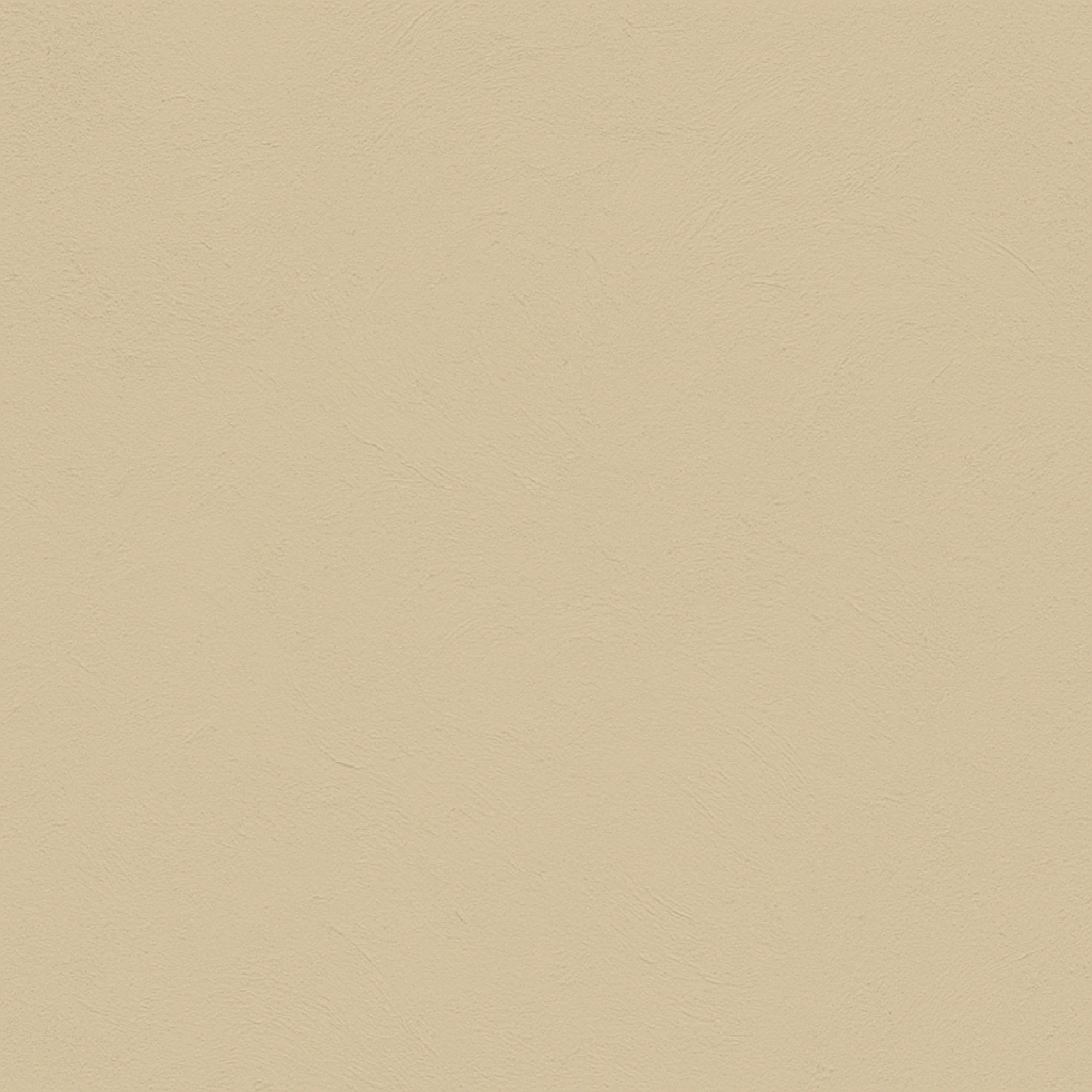 color Champagne
