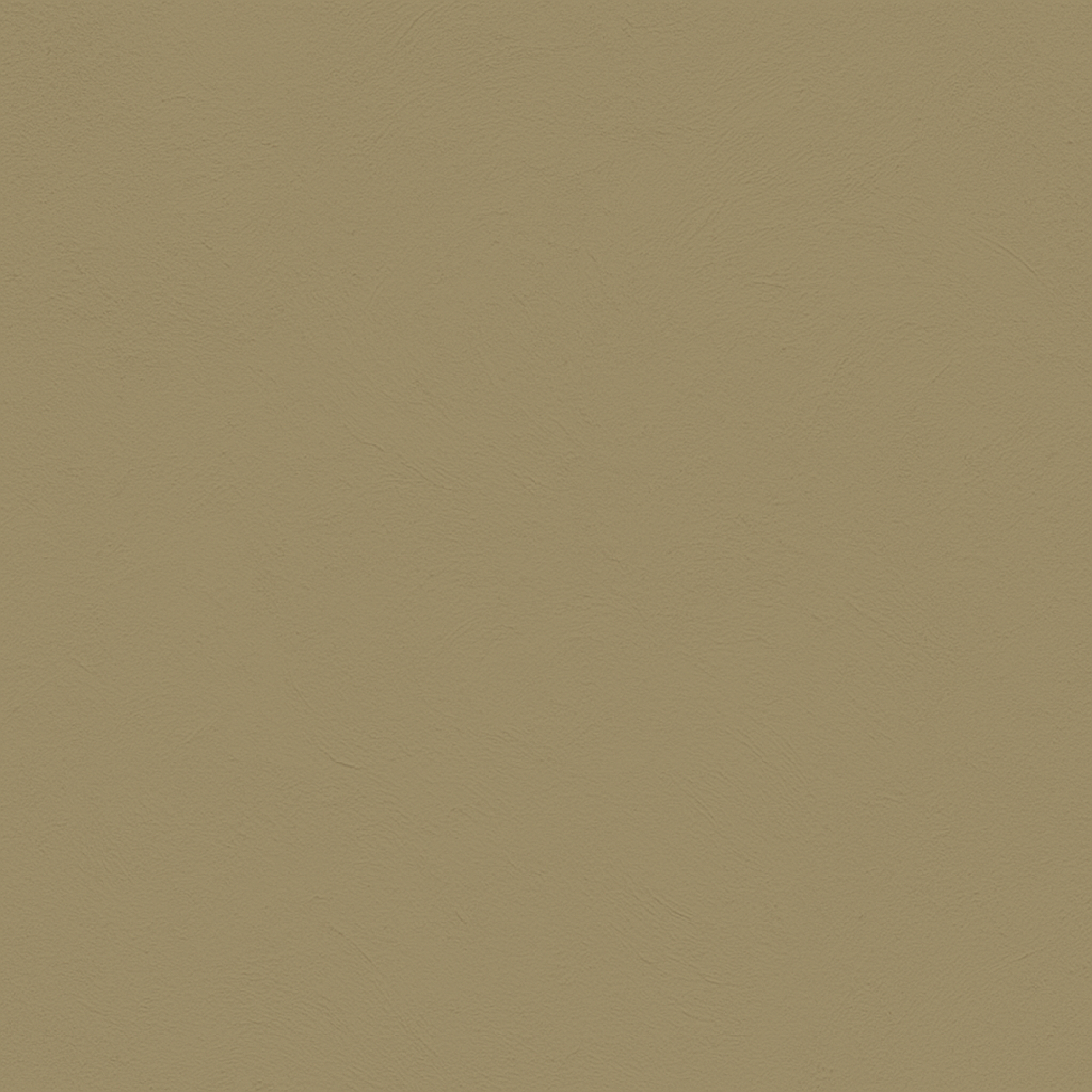 color Dessert Tan