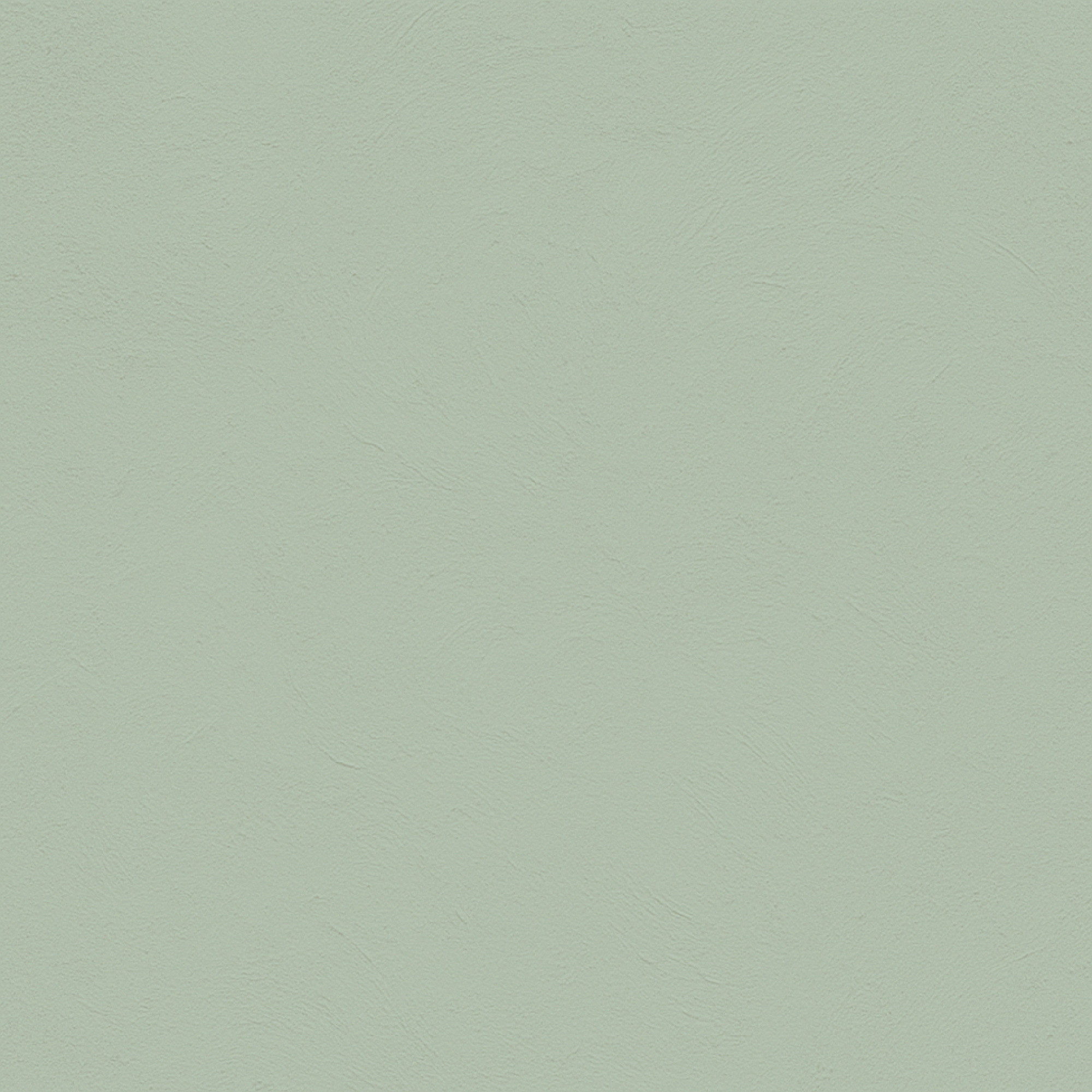 color Eucalyptus