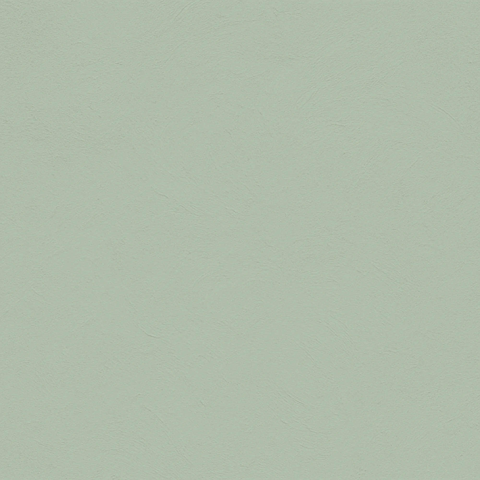 color Eucalyptus