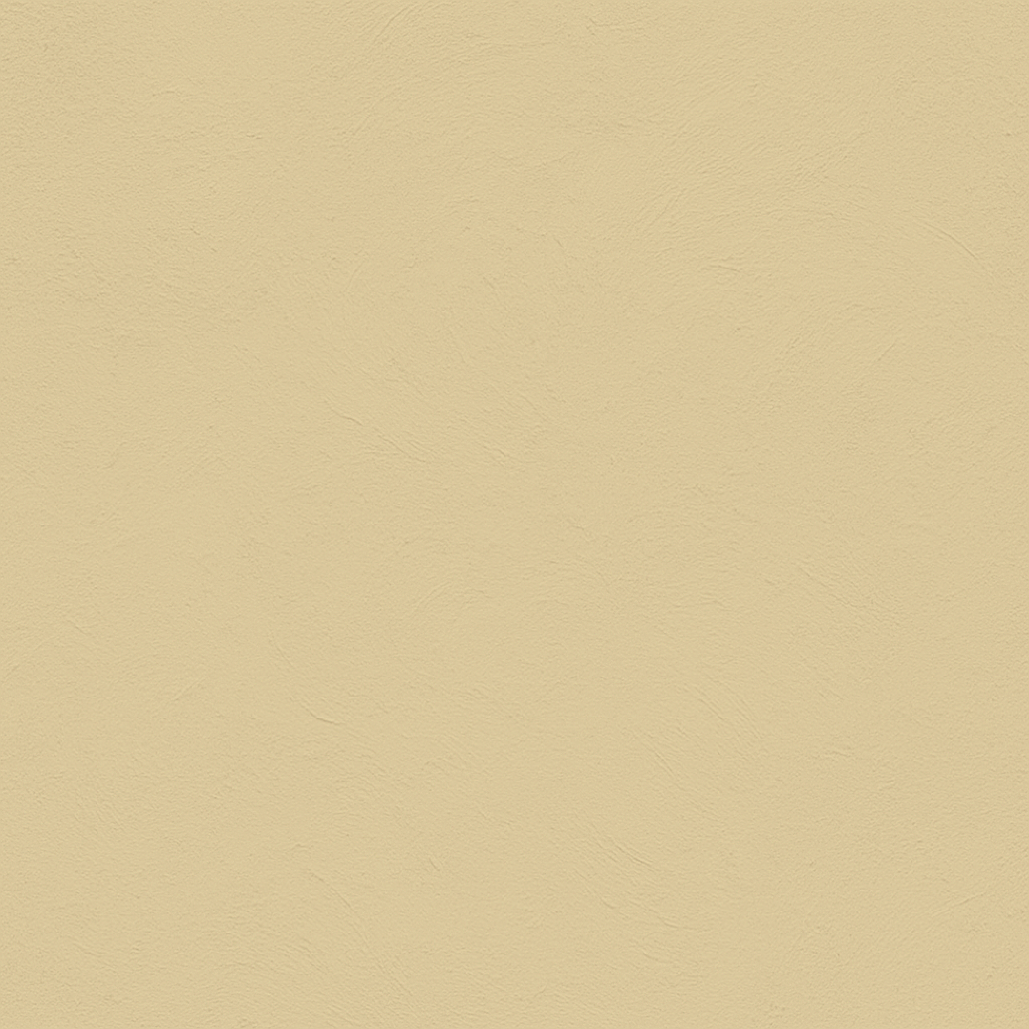 color India