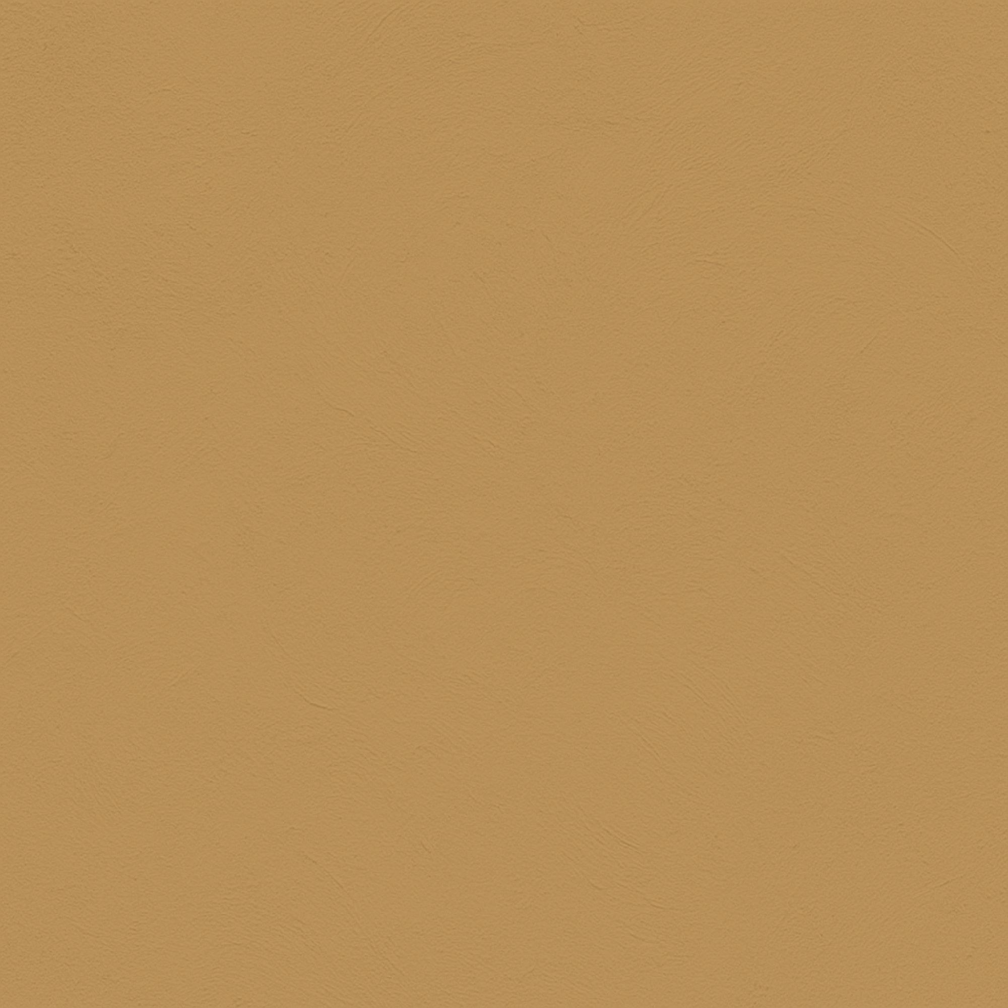 color Kalahari