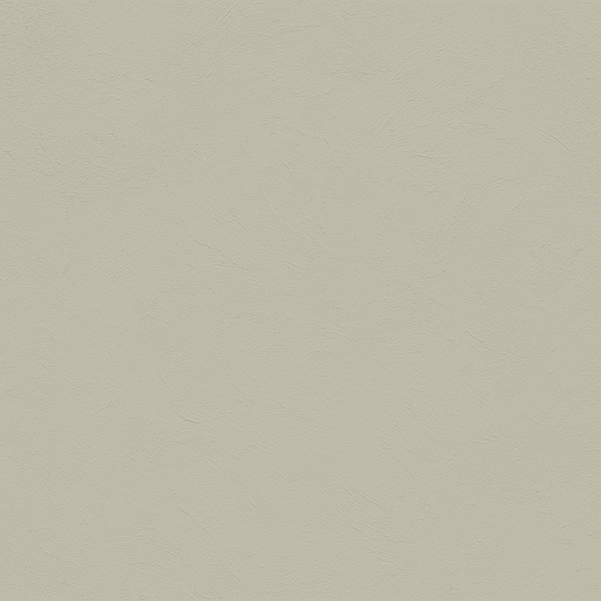 color Liquen