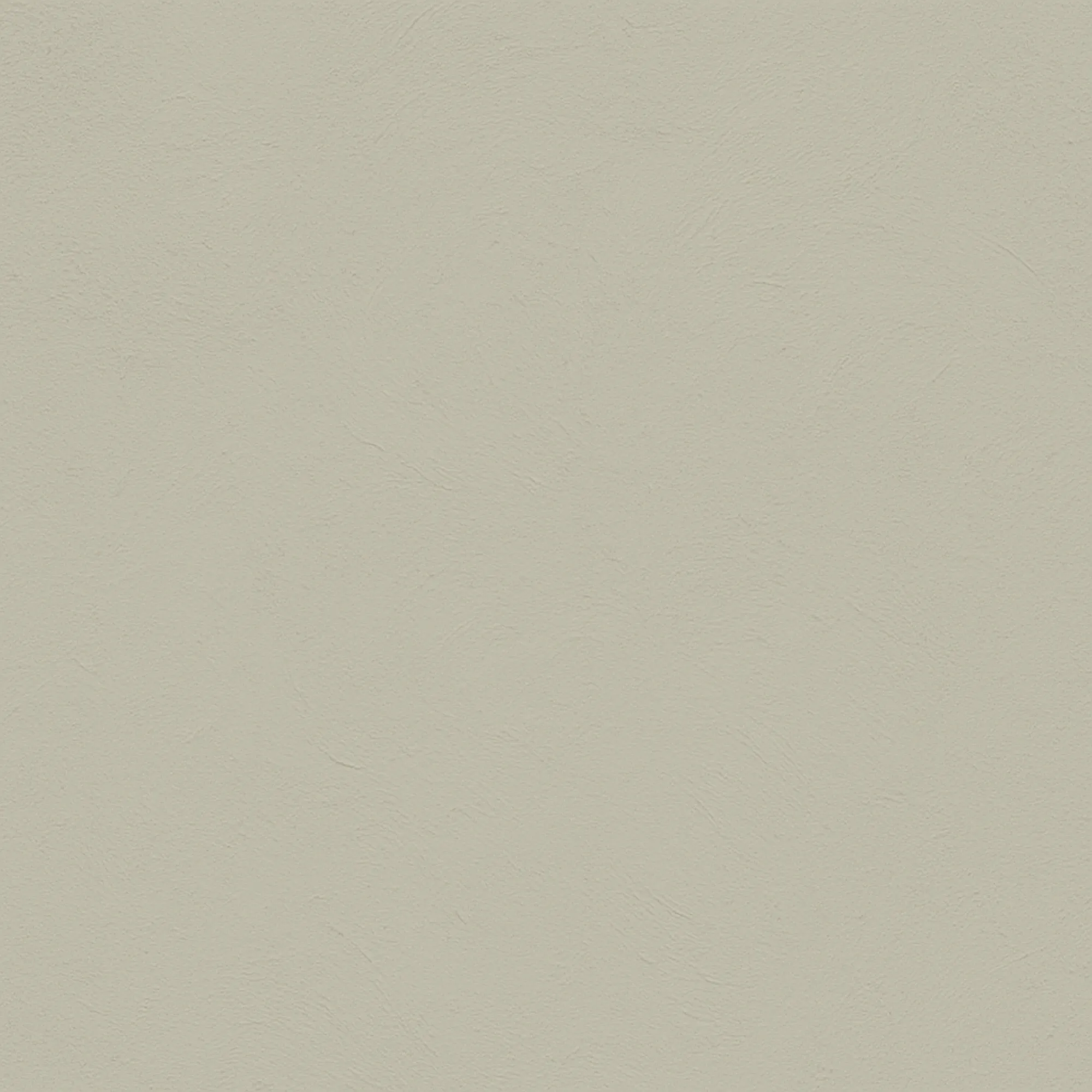 color Liquen