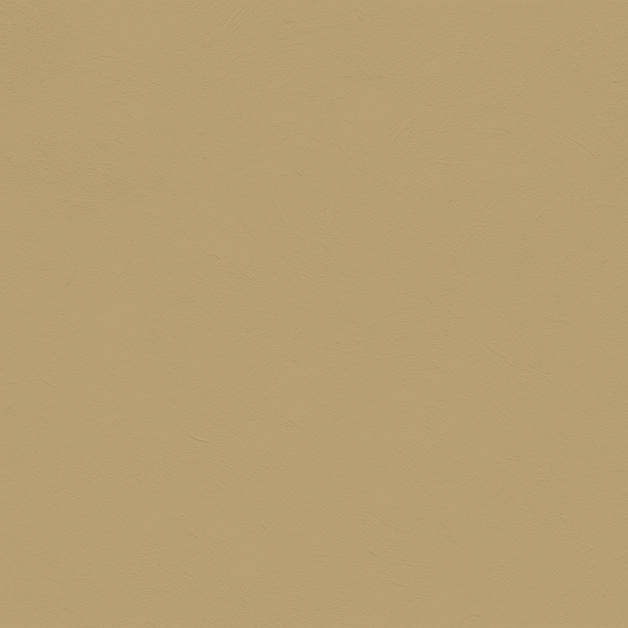 color Mojave