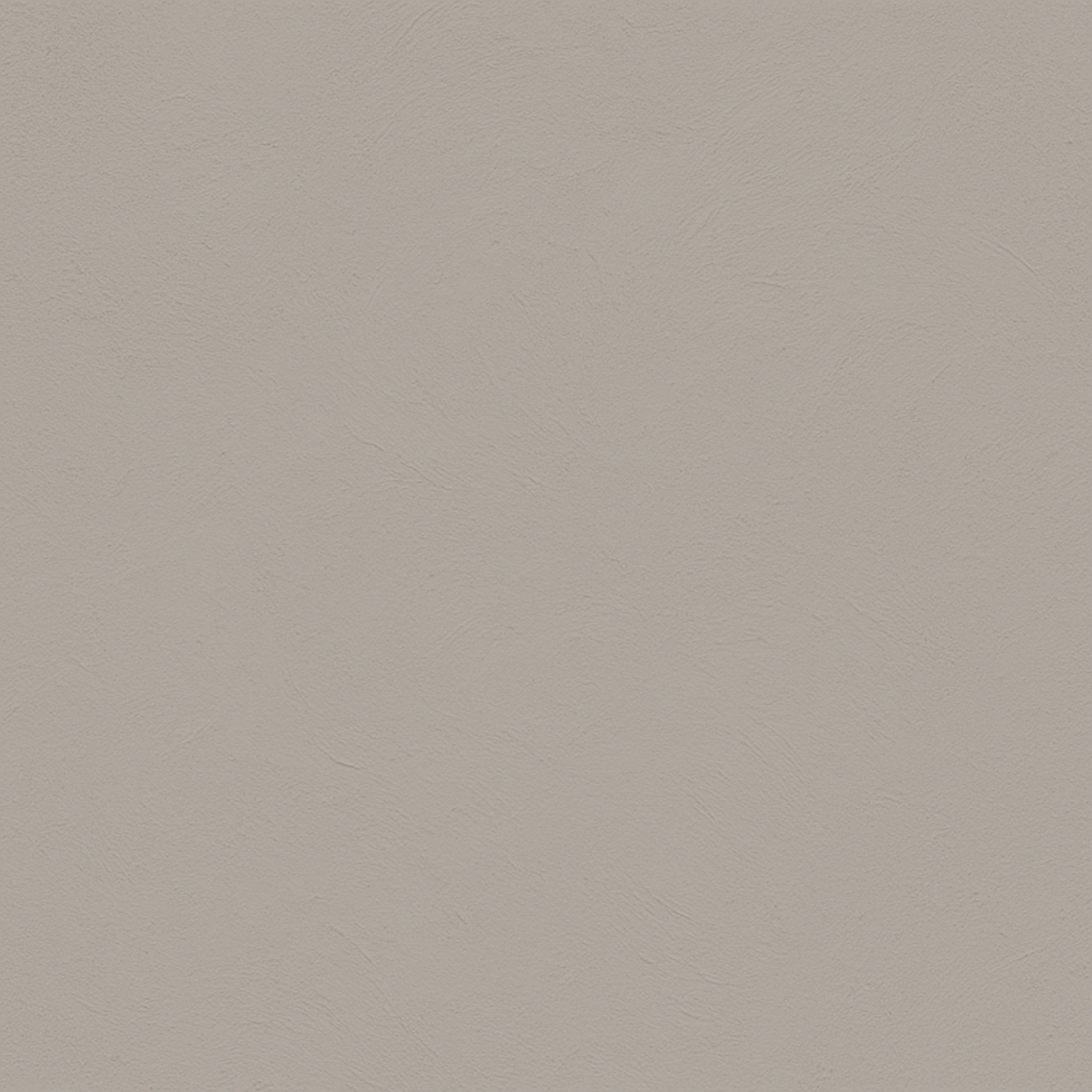 color Pearl Grey