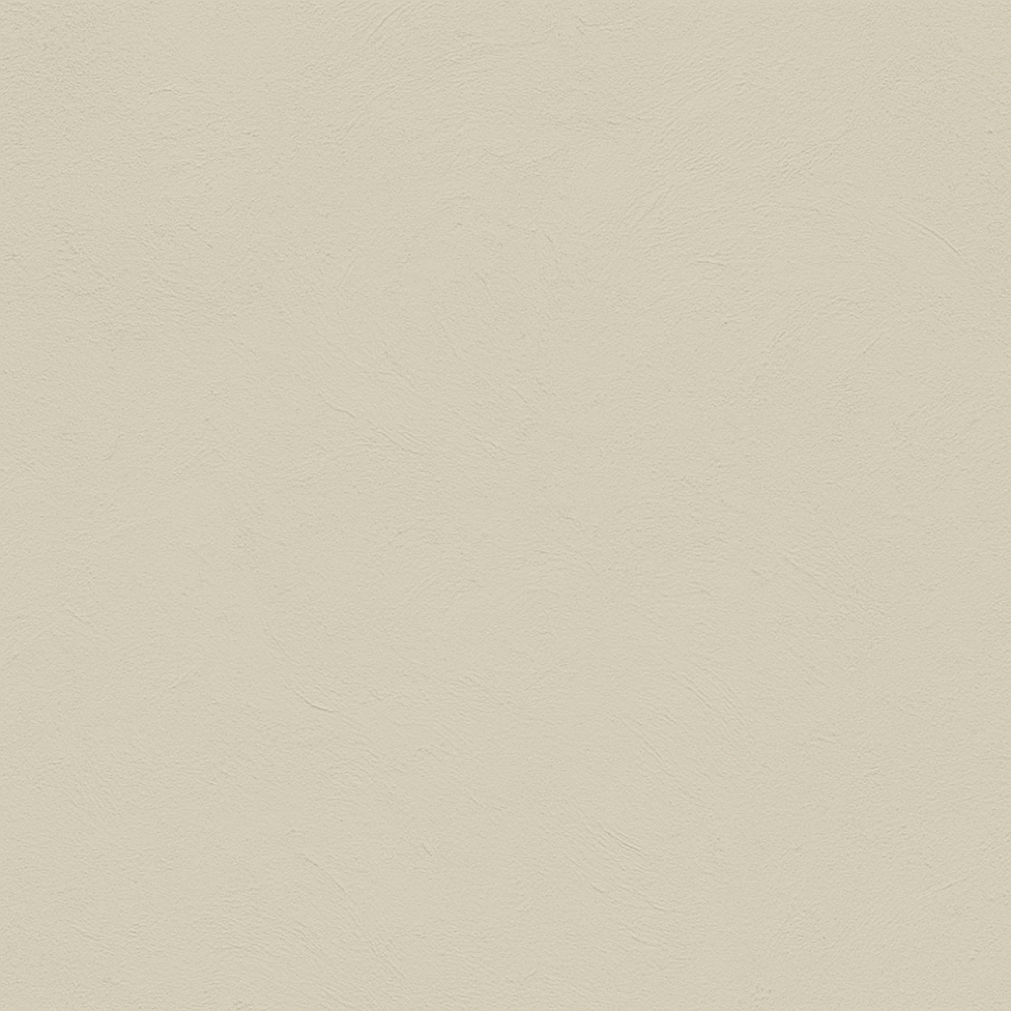color Porcelain