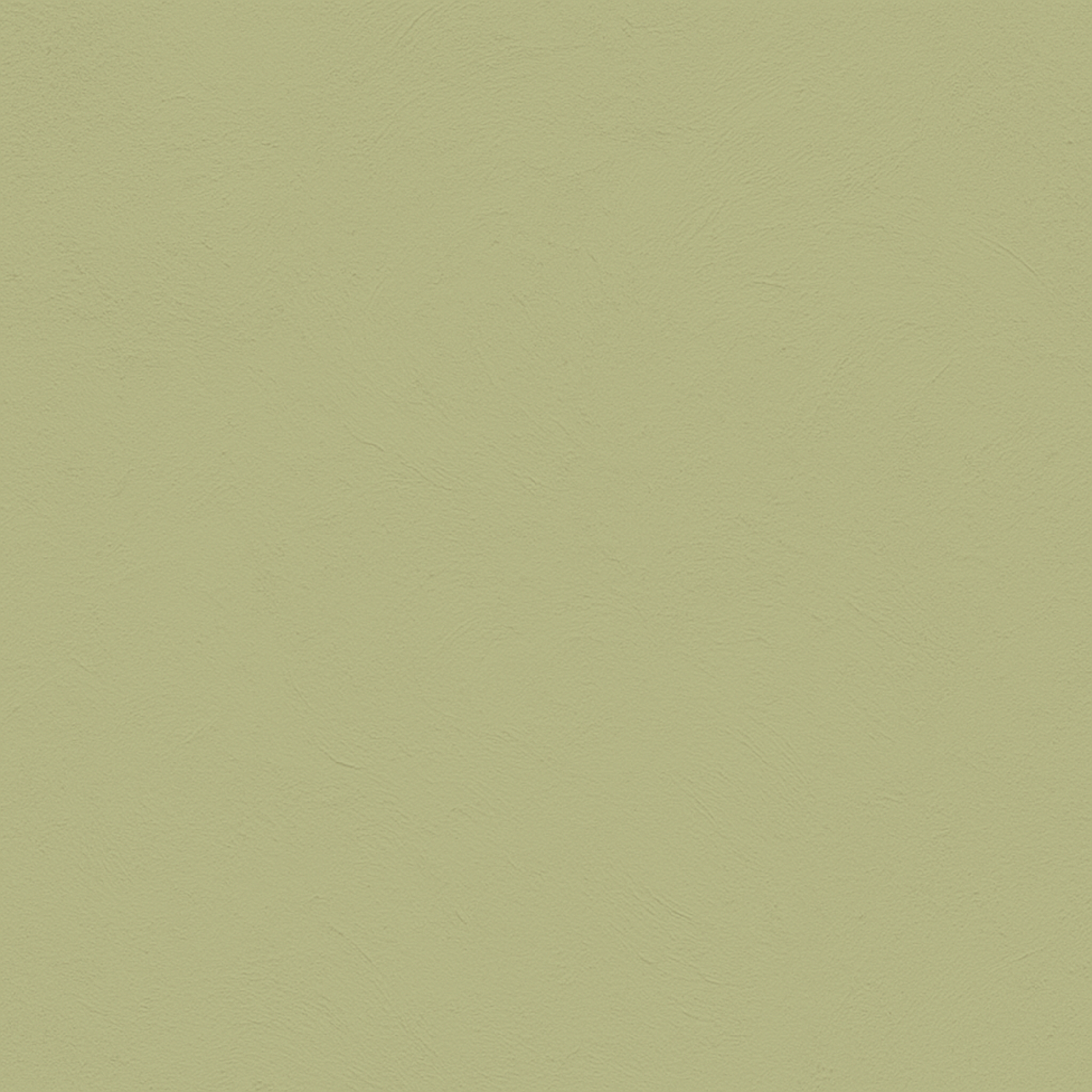 color Wasabi