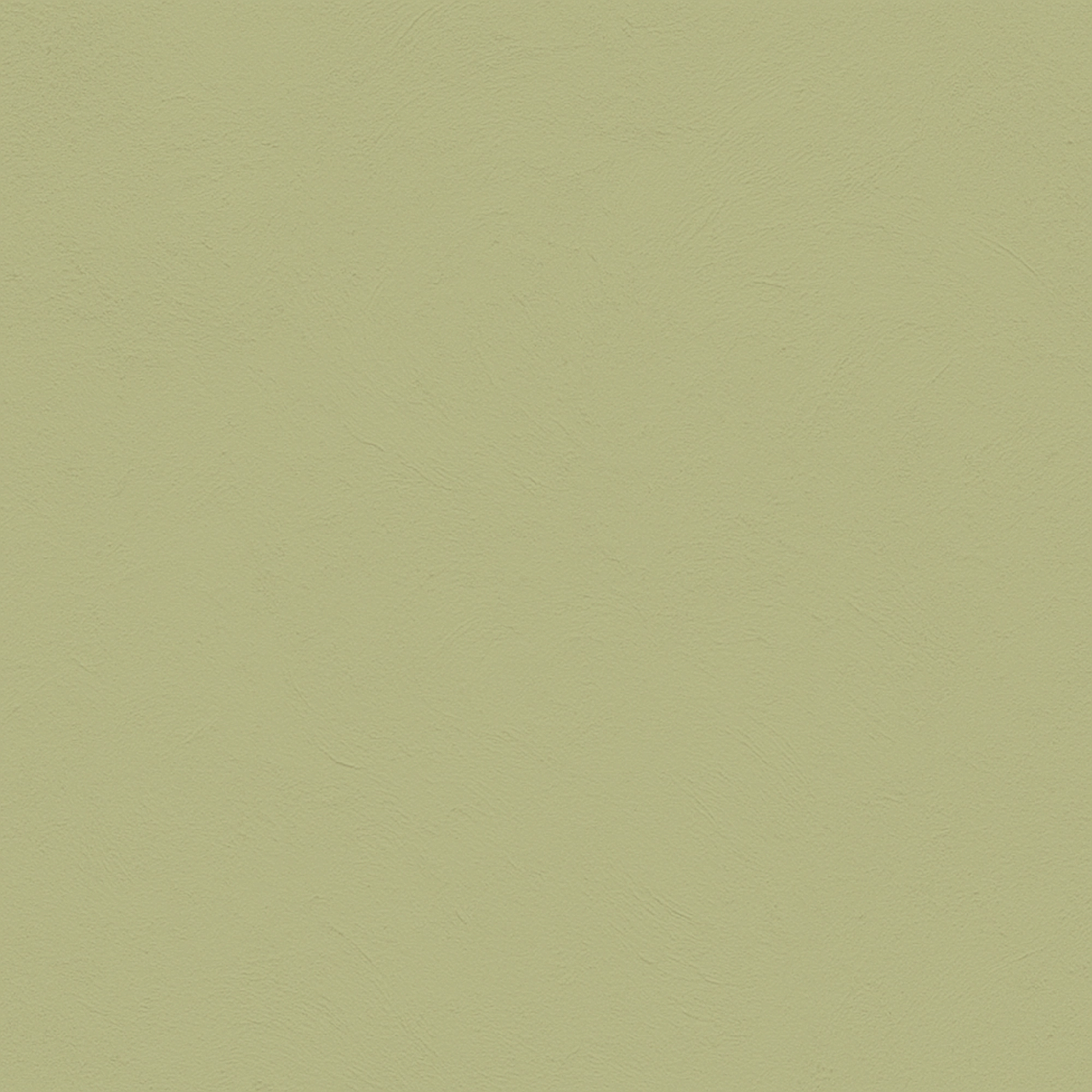 color Wasabi