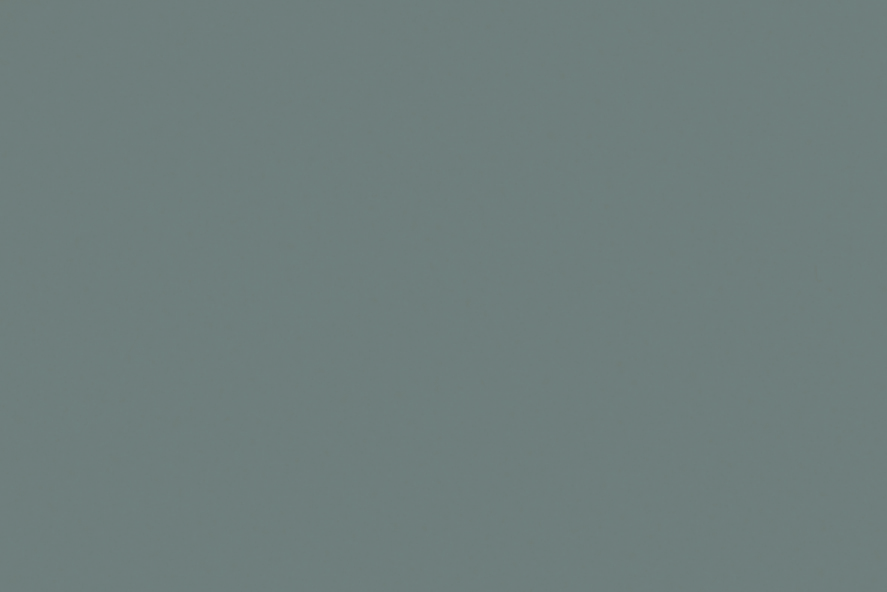 color  Acier DSV
