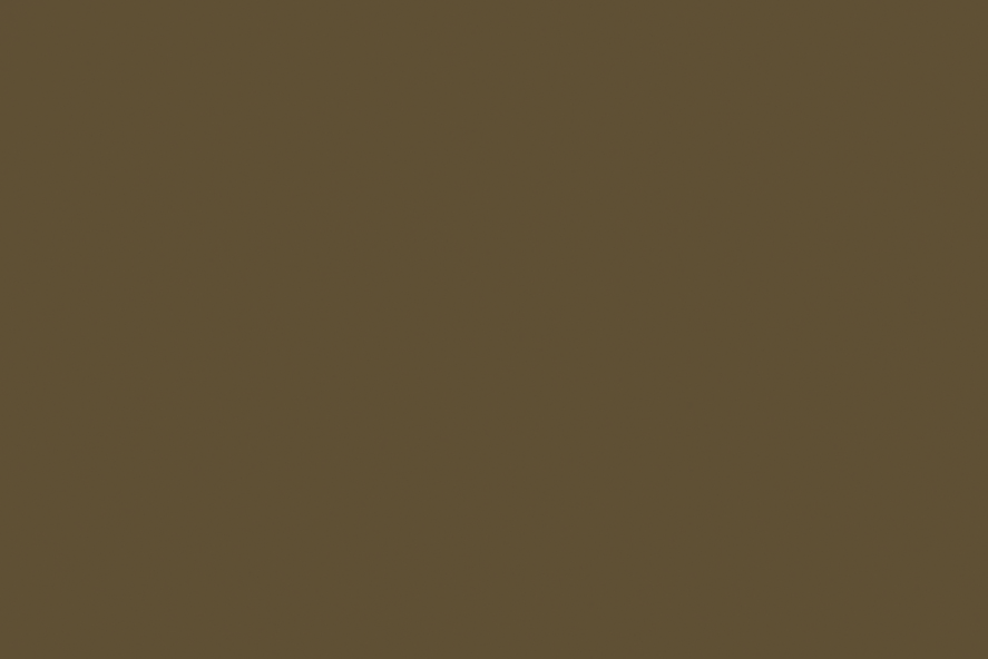 Color Arenisca