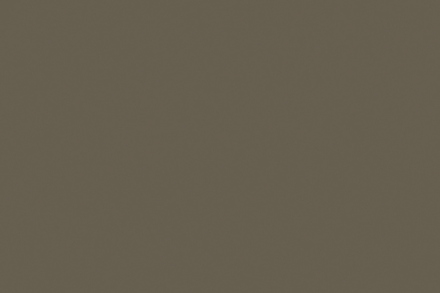 Color  Mares DSV