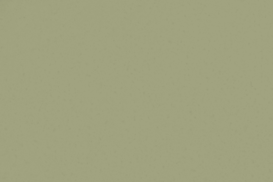 color Oliva DSV