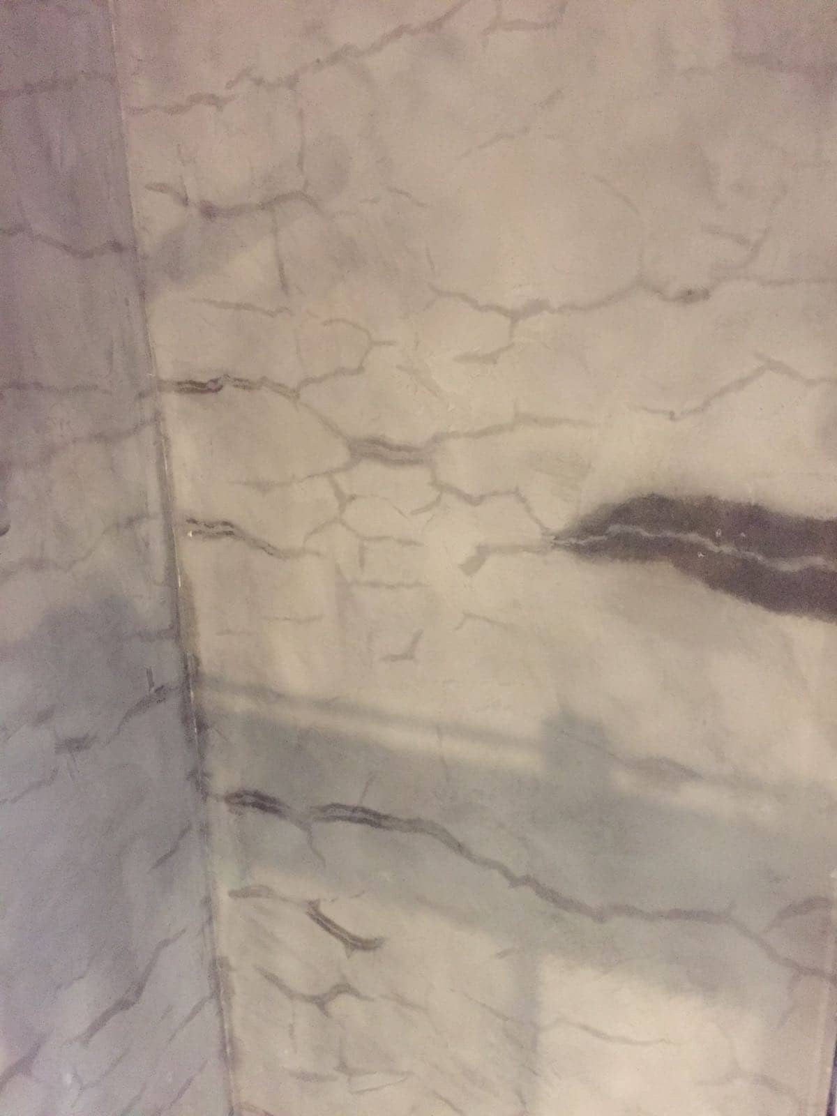 Microciment și umiditate pe peretele dușului
